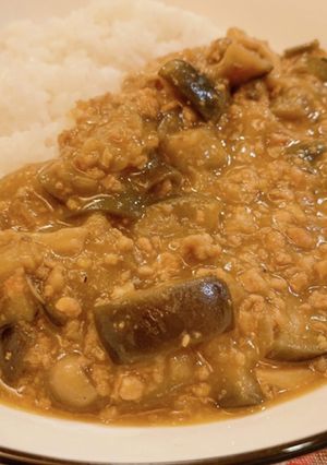 秋ナスカレー1(スパイスを使いこなす)-レシピのメイン写真