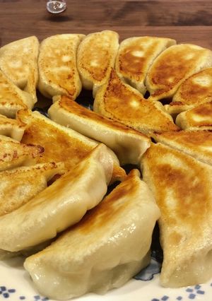 餃子の皮-レシピのメイン写真