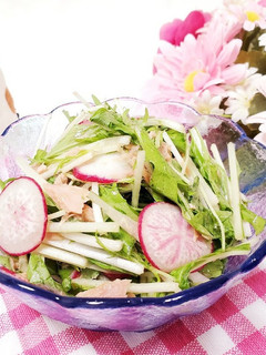 ラディッシュと水菜のさっぱりサラダ-レシピのメイン写真