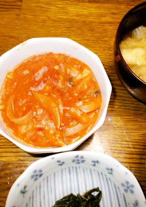 鶏肉とたまねぎのトマト煮込み-レシピのメイン写真