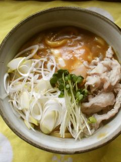 カレー肉南蛮うどん♪-レシピのメイン写真