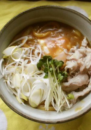 カレー肉南蛮うどん♪-レシピのメイン写真