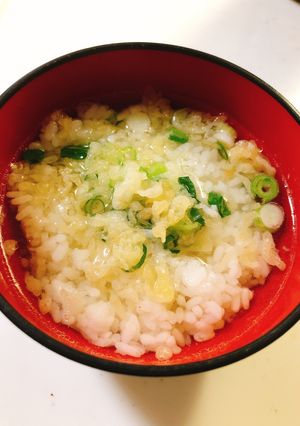 ずぼら☆何もない時の即席 だし茶漬け-レシピのメイン写真