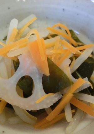 野菜たっぷり酢の物-レシピのメイン写真