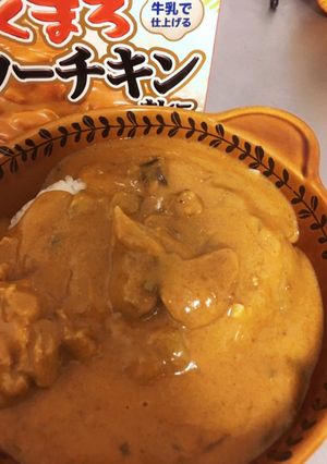 こくまろバターチキンカレー＊ナス入り-レシピのメイン写真