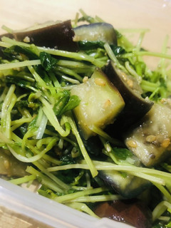 豆苗と茄子のナムル-レシピのメイン写真