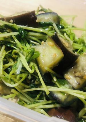 豆苗と茄子のナムル-レシピのメイン写真