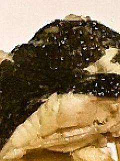 簡単 カレイの煮付け-レシピのメイン写真