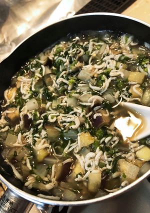 簡単離乳食☆たっぷり野菜しらすあんかけ-レシピのメイン写真