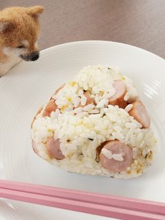 ウインナー&ふりかけのおにぎり-レシピのメイン写真