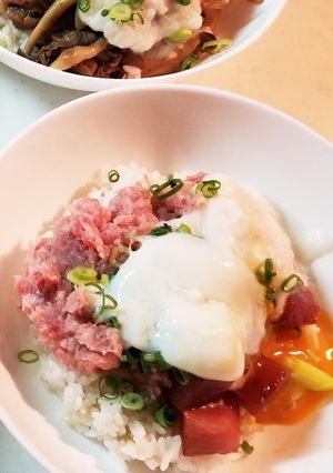ふわふわとろろ二色丼-レシピのメイン写真