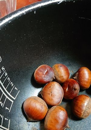 炊飯器で簡単ホクホクむき栗-レシピのメイン写真