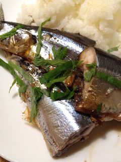 秋刀魚の生姜煮-レシピのメイン写真