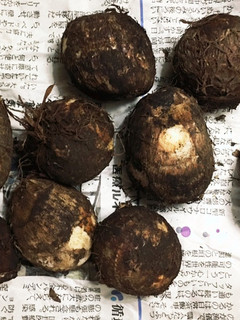 長持ちのコツ☆気温別 里芋の保存方法-レシピのメイン写真