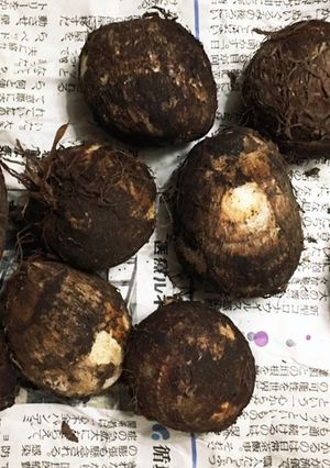 長持ちのコツ☆気温別 里芋の保存方法-レシピのメイン写真