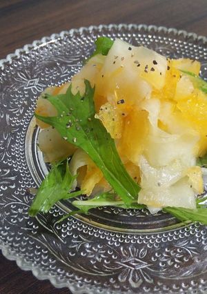 体にやさしい大根と柿のサラダ-レシピのメイン写真