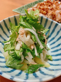 セロリと大根のマヨさっぱりサラダ-レシピのメイン写真