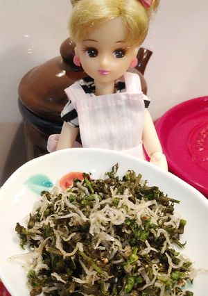 リカちゃん♡紫蘇の実とじゃこさん炒めたん-レシピのメイン写真