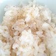 ごま油ごはんwithブレンドスパイス