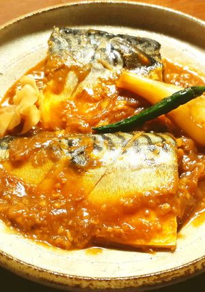 鯖の味噌煮　発酵生姜＆発酵玉葱-レシピのメイン写真
