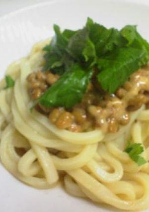 大絶賛納豆で♪納豆うどん-レシピのメイン写真