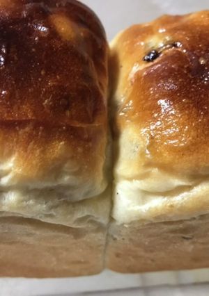 湯種でモッチリぶどうパン-レシピのメイン写真
