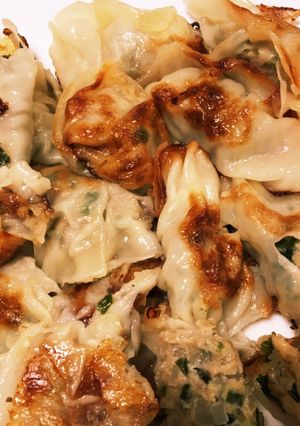 玉ねぎ・ニラ・挽肉の餃子-レシピのメイン写真