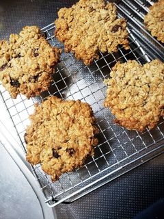粉不使用!低糖質オートミールクッキー-レシピのメイン写真