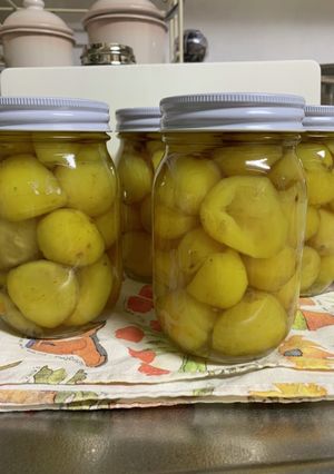 栗の甘露煮-レシピのメイン写真