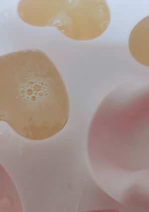 水グミ-レシピのメイン写真
