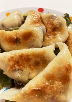 ヨーロッパを丸ごと包んだおつまみ餃子-レシピのメイン写真