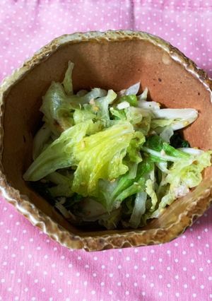 ストレスフリー！！野菜の水切り、絞り方-レシピのメイン写真