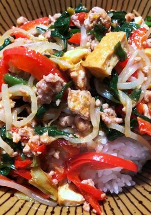 ひき肉とお野菜のスタミナ丼-レシピのメイン写真
