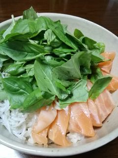 しらす干しと鮭のレモン風味丼-レシピのメイン写真