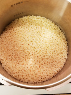 圧力鍋でふっくらもちもちの玄米ご飯-レシピのメイン写真
