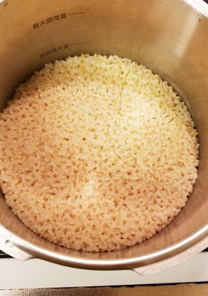 圧力鍋でふっくらもちもちの玄米ご飯-レシピのメイン写真
