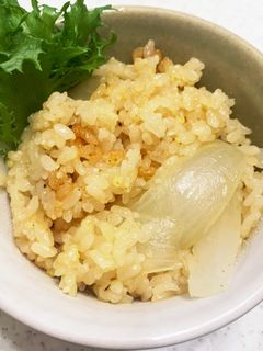楽チン炊き込みご飯☆玉ねぎごはん-レシピのメイン写真