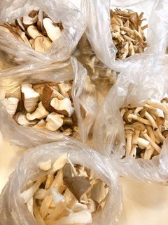 きのこの保存方法-レシピのメイン写真