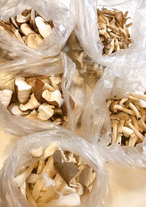 きのこの保存方法-レシピのメイン写真