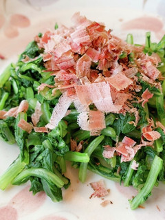 青菜のおひたし-レシピのメイン写真