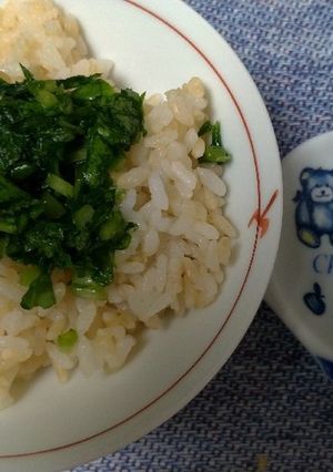 大根菜は塩揉みするだけ、すだち香る菜飯☆-レシピのメイン写真