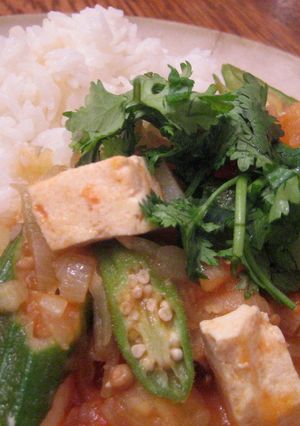 チベット風豆腐と野菜のさらっと煮込み-レシピのメイン写真