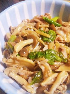 たっぷりキノコのあんかけ丼☆-レシピのメイン写真