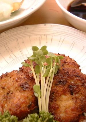 いわしでがんも-レシピのメイン写真