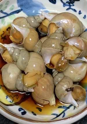 エッチュウバイの煮物(バイ貝)-レシピのメイン写真