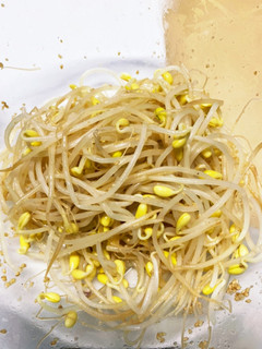 あっという間にできる豆もやしのナムル-レシピのメイン写真