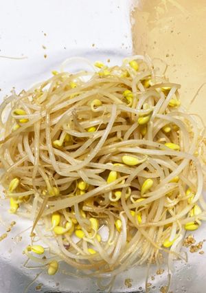 あっという間にできる豆もやしのナムル-レシピのメイン写真