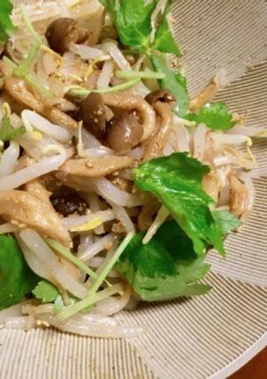 *もやしときのこのごま酢和え*-レシピのメイン写真