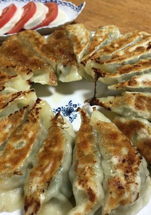 野菜たっぷりさっぱり餃子-レシピのメイン写真