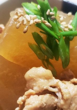 お年寄り絶賛シリーズ☆冬瓜の煮物☆-レシピのメイン写真